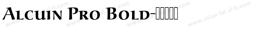 Alcuin Pro Bold字体转换